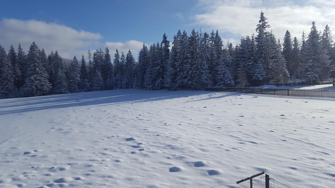 Lesne Zacisze Bed & Breakfast Murzasichle Bagian luar foto
