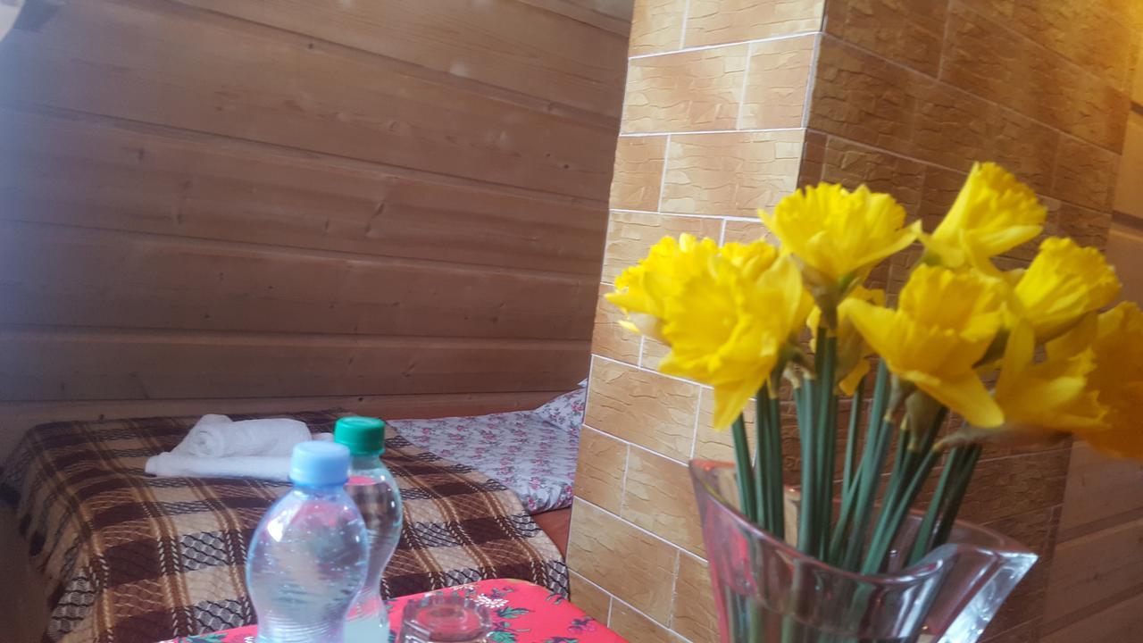 Lesne Zacisze Bed & Breakfast Murzasichle Bagian luar foto